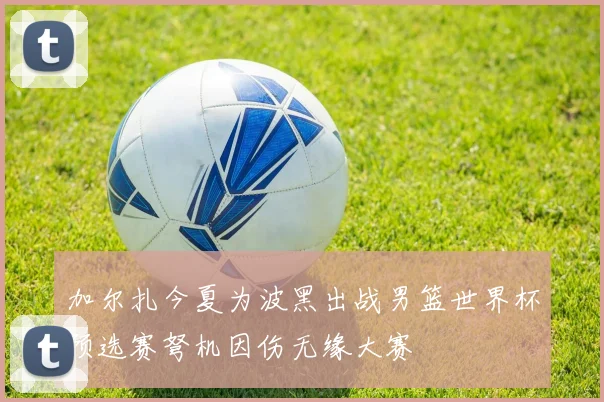 加尔扎今夏为波黑出战男篮世界杯预选赛弩机因伤无缘大赛